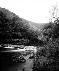 Harman Titan Pinhole Camera 