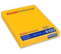Kodak Ektachrome E100 4x5 10 sheets 