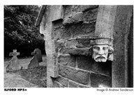 Ilford HP5 Plus 120 Roll Film 