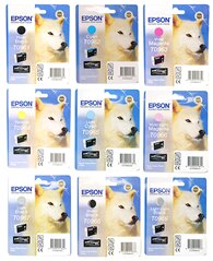 Epson Cartridge ''Husky'' 2880 
