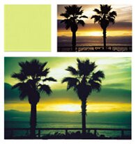 Cokin P006 Yellow/Green