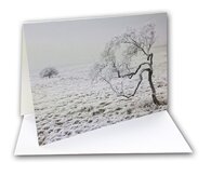 Fotospeed Fotocards 