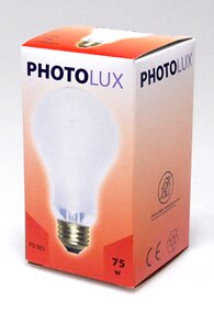 P3/3 75w Enlarger Lamp ES 