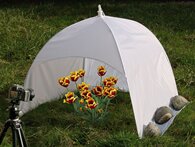 Kaiser Dome Studio 75cm 